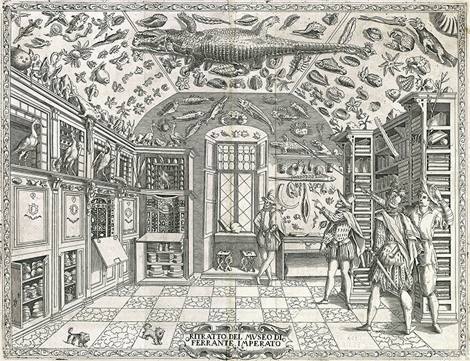 43-cabinet-curiosités-1599